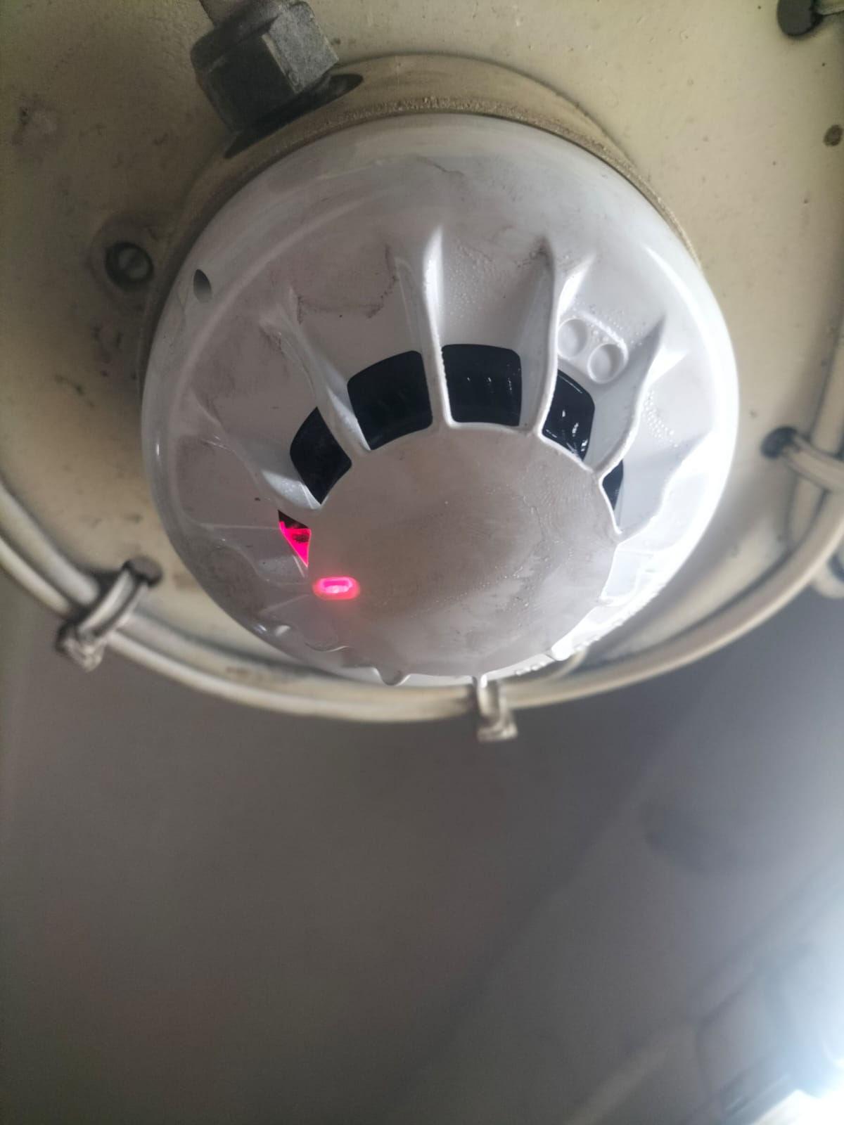 C-MARINE Çalışma Görseli 10